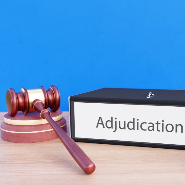 probation adjudication deferred halfway